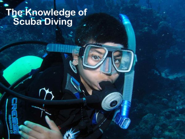 the Knowledge of scuba Diving